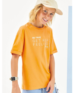 Camiseta em Meia Malha Flamê Johnny Fox laranja 2-6